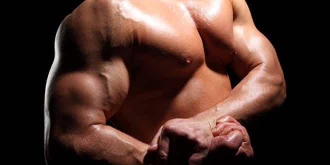 muscoli uomo