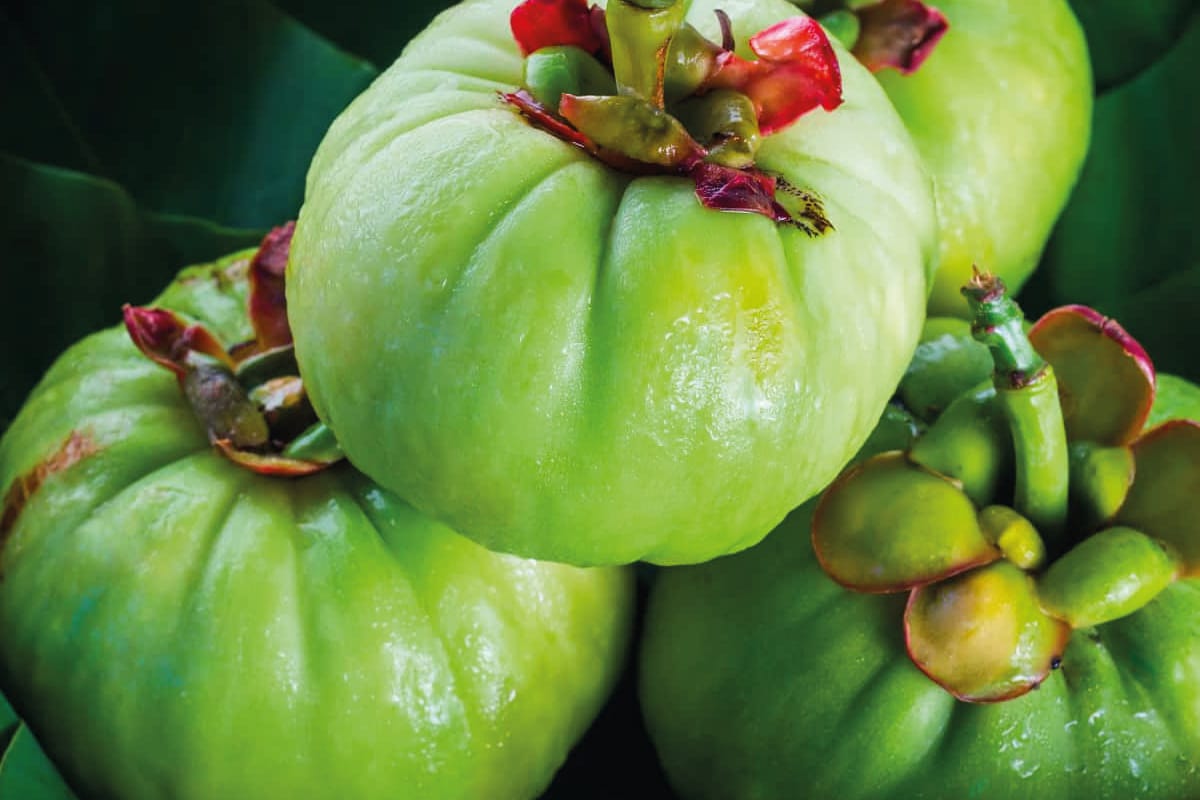 Garcinia Cambogia per dimagrire: ecco come funziona