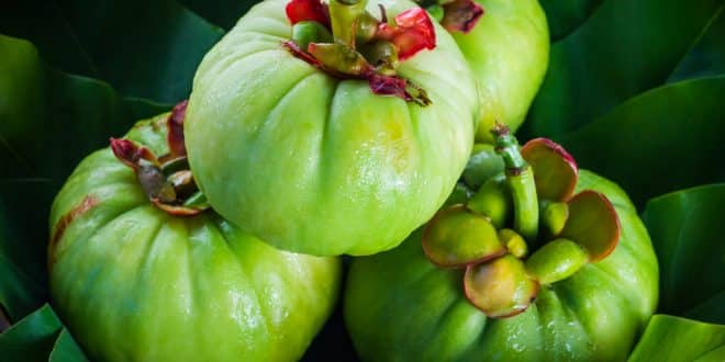 Garcinia Cambogia per dimagrire naturalmente